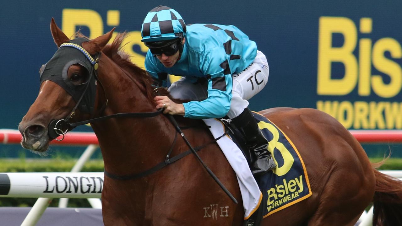 Weekend Best Bets: Horse racing tips for Hawkesbury, Sandown, Eagle ...