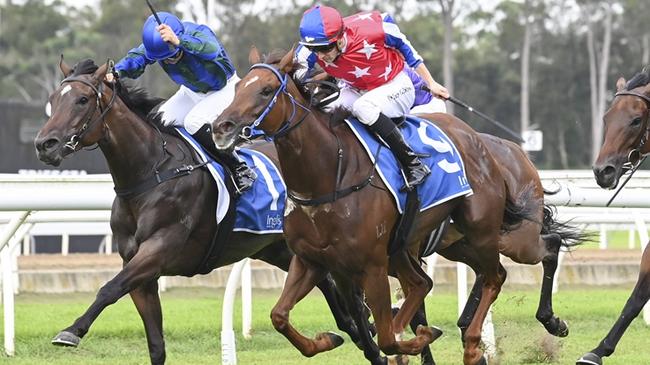 Sweet Mercy (red and blue cap, red silks with white stars and blue and white sleeves) wins at Warwick Farm in March. Mitch Cohen thinks the David Payne-trained mare is a terrific chance at a good price at Randwick on Saturday. Picture: Bradley Photos