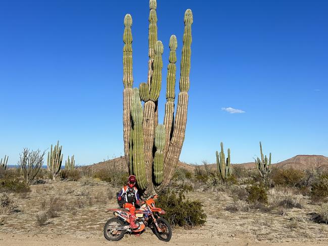 Fortunately some cacti are easy for Jack Mentha to avoid. He said this was a small one. Picture: Supplied.