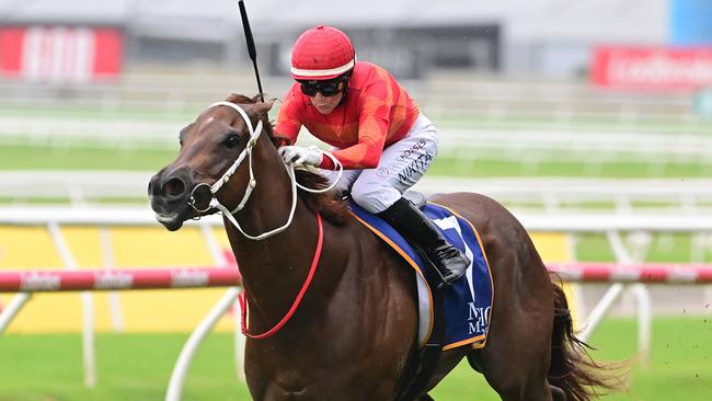 Street Chase won the Pierata Plate on a heavy track. Picture: Grant Peters/Trackside Photography