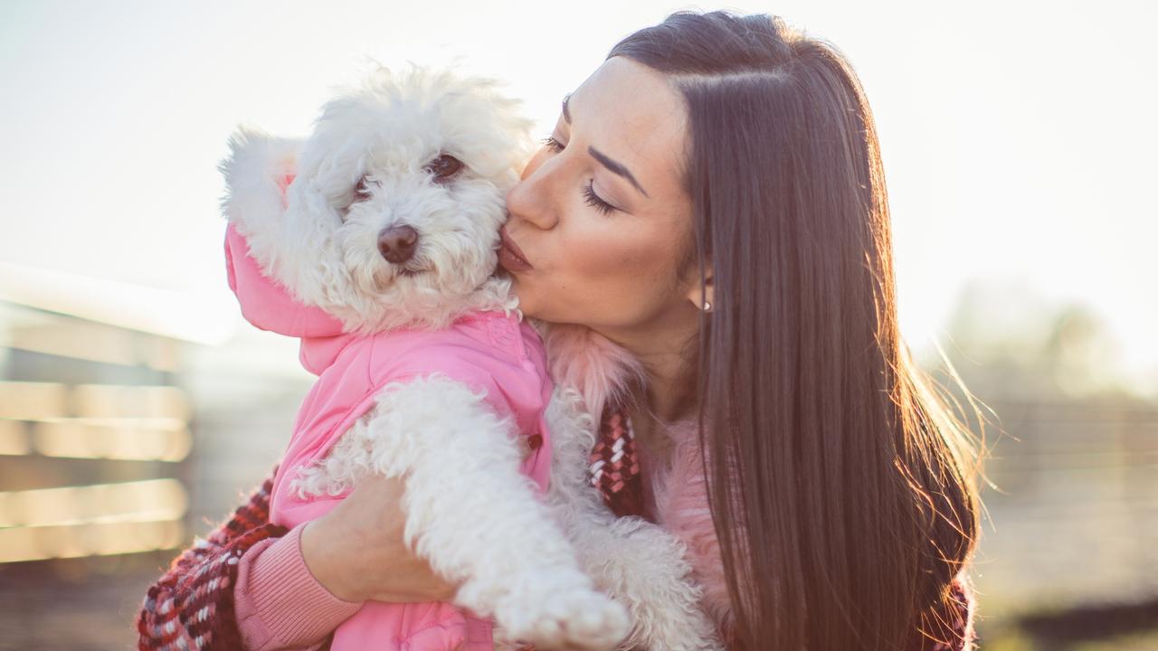 The taxpayer that tried to claim expenses for their poodle was rejected. Picture: iStock