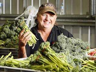 Farmer Tim Linnan at Maragi Farm, Lake Clarendon near Gatton, has had success farming broccolini. . Picture: Claudia Baxter