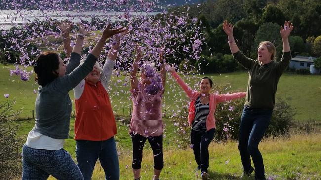 throwing saffron petals that of course these are the petals after the stigma have been extracted. empty petals. I imagine this would be the main picture. The people throwing petals are the five who picked the harvest (plus one taking pic). For Elaine Reeves Taste column