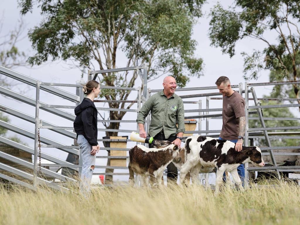 Traumatic brain injury survivor Jason Driscoll (centre) of Stones Throw Away on his property near Pittsworth with homestay guests Nick Overton and Lauren Stokes feeding calves, Saturday, March 29, 2025. Picture: Kevin Farmer