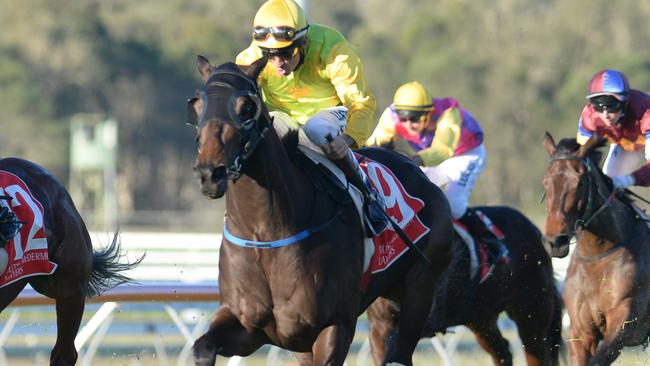 Tony Gollan was confident Amexed would run well on Saturday. Picture: Grant Peters