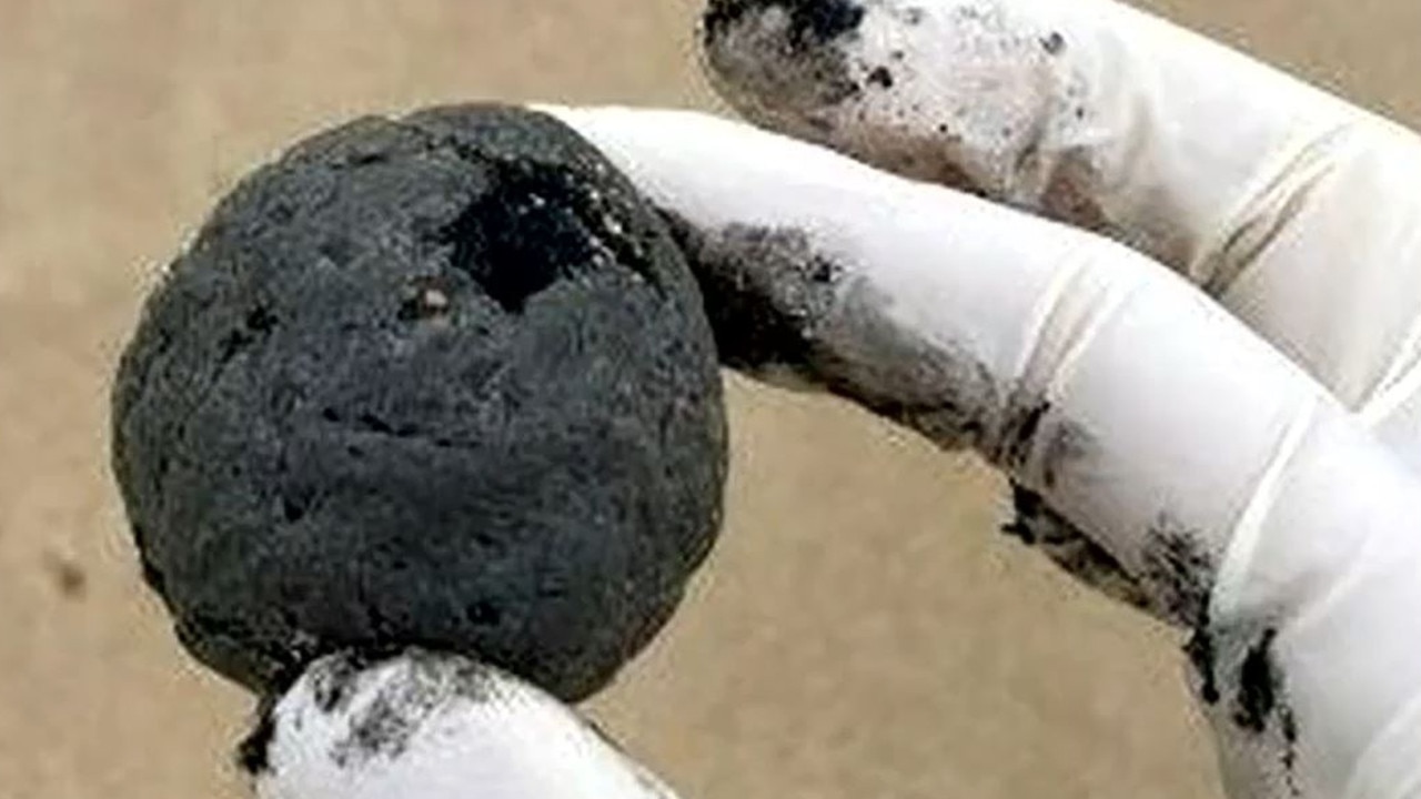 ‘Alien poo’ keeps beaches closed