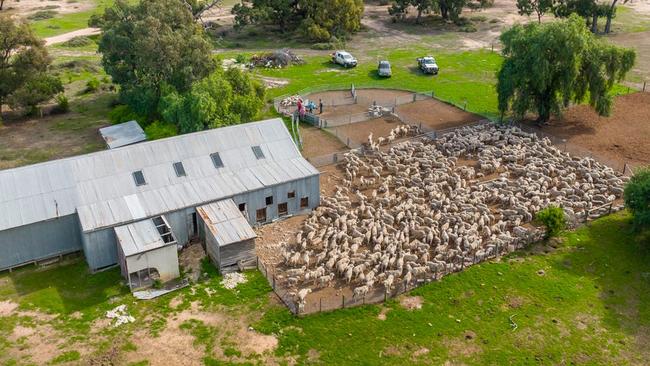 Rhyola and Inverness have been purchased by Ian and Camilla Shippen.