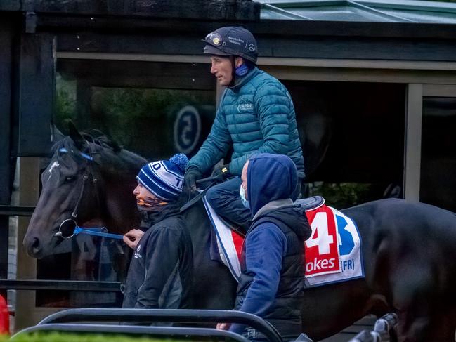 Cairon Maher walks out to the track with Damien Oliver onboard Gold Trip during trackwork at Moonee Valley Racecourse on October 13, 2021 in Moonee Ponds, Australia. (Jay Town/Racing Photos via Getty Images)