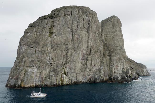 The bountiful waters around Malpelo Island attract illegal fishing vessels from far and wide, many from neighboring Ecuador, others from Panama and Costa Rica in the Caribbean or even China, where shark fin is a delicacy