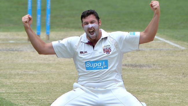 Luke Feldman celebrates after taking the wicket of NSW batsman Ryan Carters.