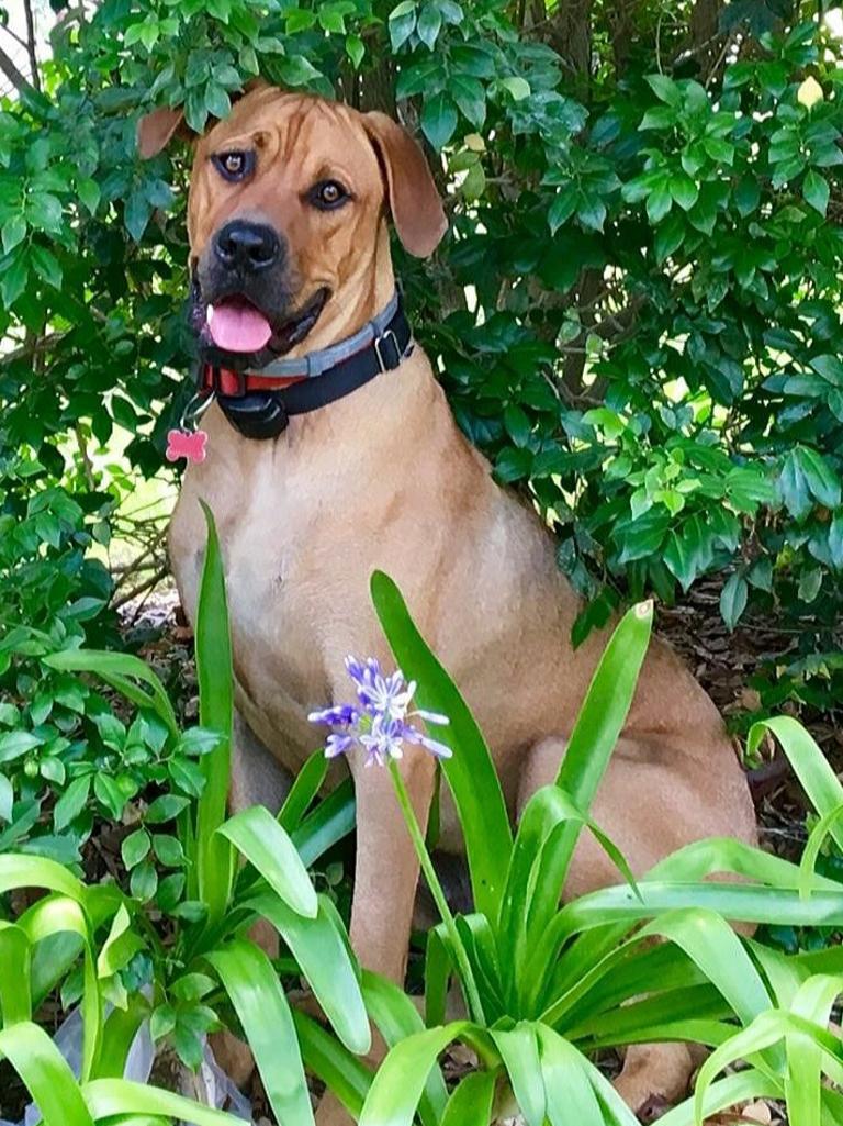 Jack knows he's a handsome boy! Picture: Elizabeth