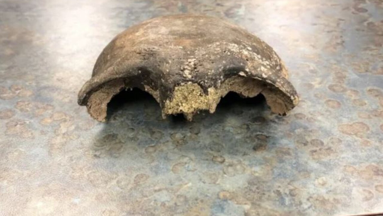 Kayakers found the skull while paddling in a river in Minnesota, US. Picture: Renville County Sheriff’s Office