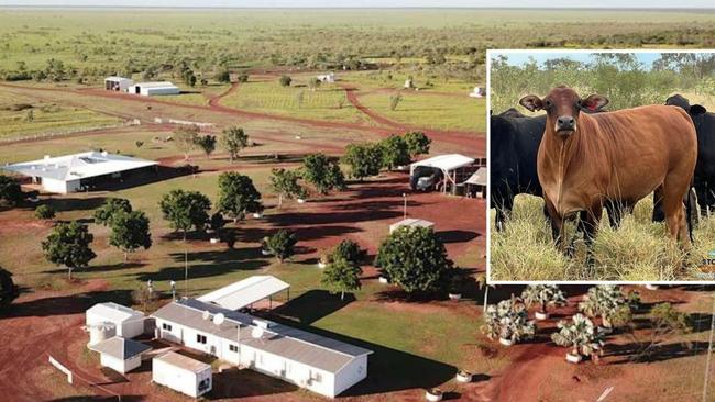 Australian cattle stations for sale. Photo: Supplied