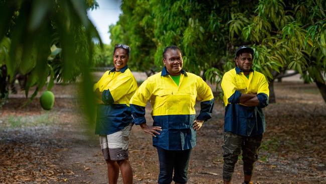 Annie Kintor, Charline Lolting and Bill Frazer Alling are among the seasonal workers from Vanuatu who were released from quarantine last month and are now picking mangoes on NT farms. Picture: Che Chorley