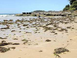 Yamba’s Main Beach 