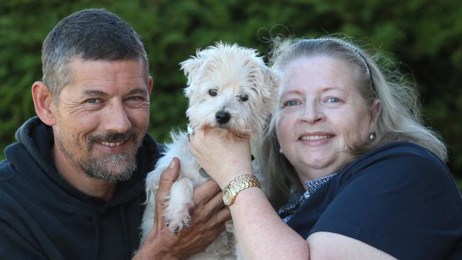 Campbelltown Lost, Found and Injured pets volunteer saves trapped dog ...