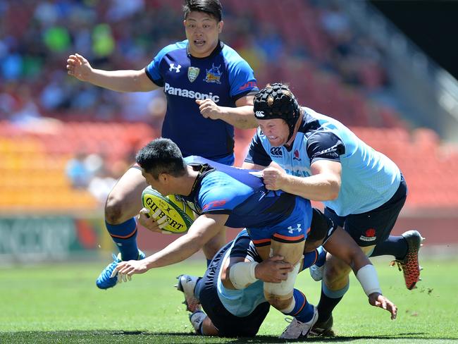 The underdog Panasonic Wild Knights proved too canny for the Waratahs.