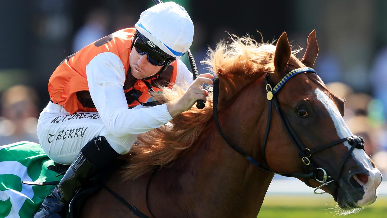 Standout wins Expressway Stakes at Randwick | Daily Telegraph