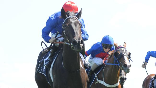 Ghisoni has been nominated for the Stradbroke Handicap. Picture: Simon Bullard