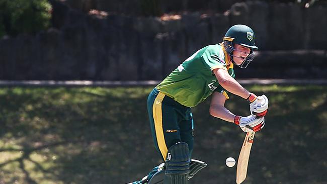 Randwick Petersham batsman Riley Ayre is a man expected to make a mark this season.