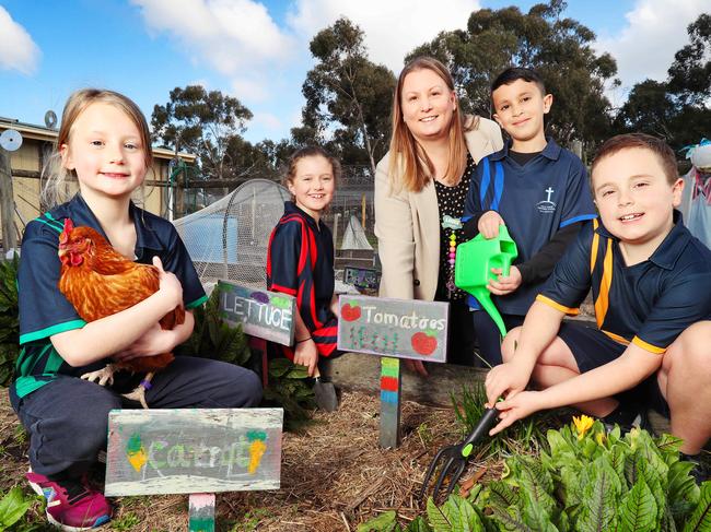 Bush Summiit- regional teacher shortages. Holy Cross Primary School in New Gisborne has hired teachers and are thriving ,despite other regional areas struggling to attract teachers amid the shortage. L-R Alma 7, Lily 8, Louise Ralph (teacher), Noah 8 and Oscar 7. Picture Rebecca Michael.