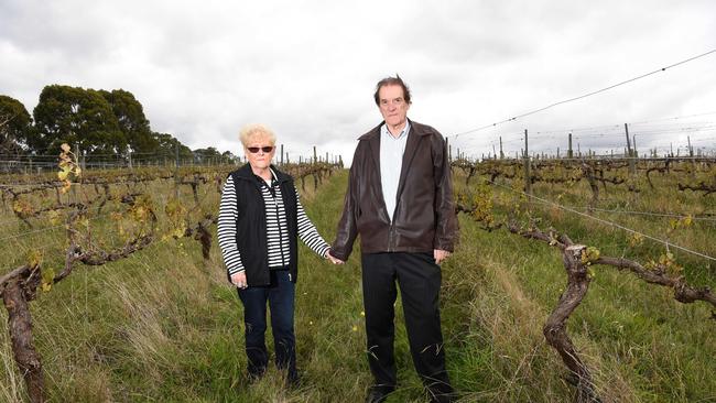 David and Pat Smith ran The Old Orchard Winery in Boronia and say the surrounding land could be perfect for producing craft cider. Picture: Lawrence Pinder.