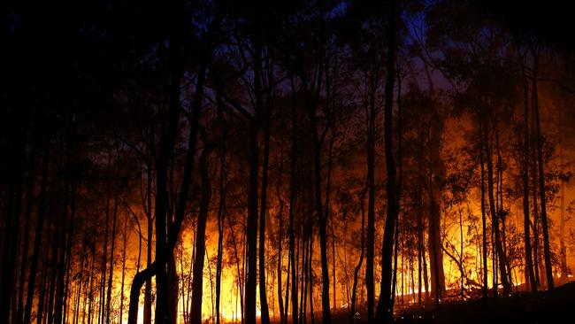 The Winmalee bush fires of October 2013 destroyed hundreds of structures. Picture: Bradley Hunter