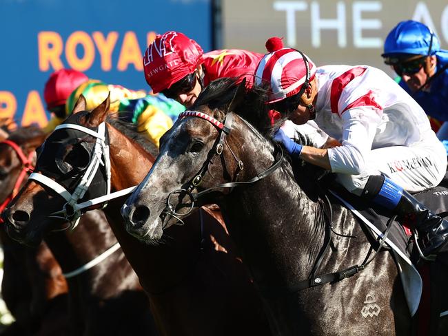 SYDNEY, AUSTRALIA - MARCH 09: Kerrin Mcevoy riding Celestial Legend wins Race 8 The Agency Randwick Guineas during "The Agency Randwick Guineas Day" -  Sydney Racing at Royal Randwick Racecourse on March 09, 2024 in Sydney, Australia. (Photo by Jeremy Ng/Getty Images)