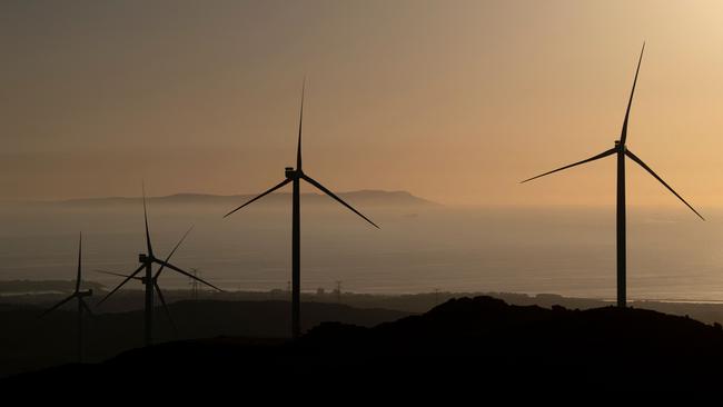 Wind turbines are pictured in Tarifa, southern Spain, on January 24, 2025. (Photo by JORGE GUERRERO / AFP)