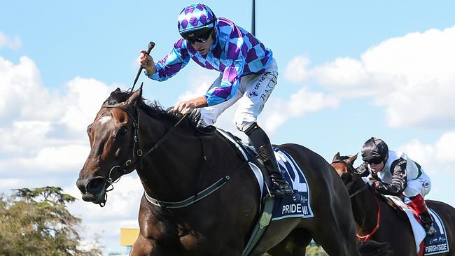 Pride Of Jenni and Mr Brightside will go at it again in the Group 1 Memsie Stakes at Caulfield. Picture: Racing Photos