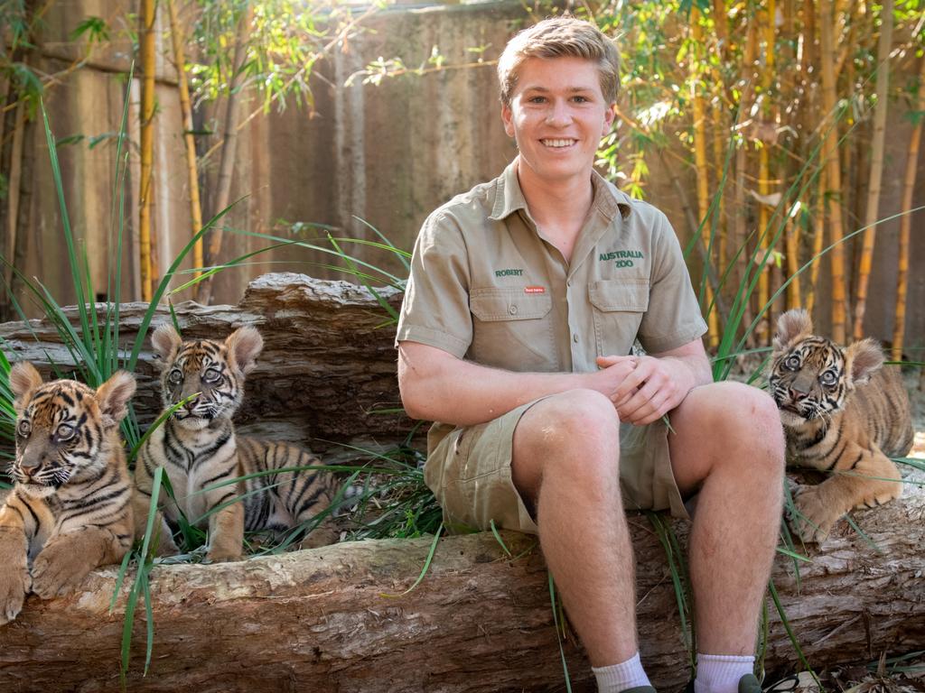 Robert Irwin with Sumatran Tiger cubs at Australia Zoo. Picture: Animal Planet