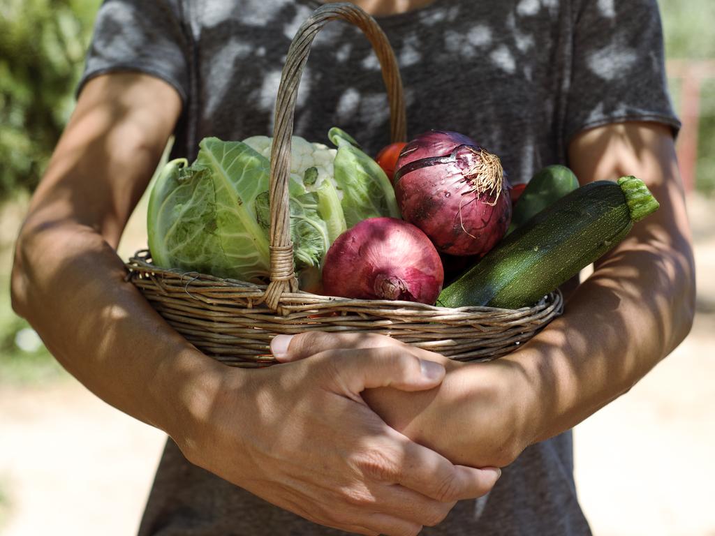 closeup of a young caucasian man with a rustic basket full of vegetables freshly collected in an organic orchard