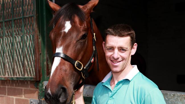 Strapper Steve O'Halloran and English at the Tempest Morn Stables, Sydney. Picture: Jason McCawley / News Corp