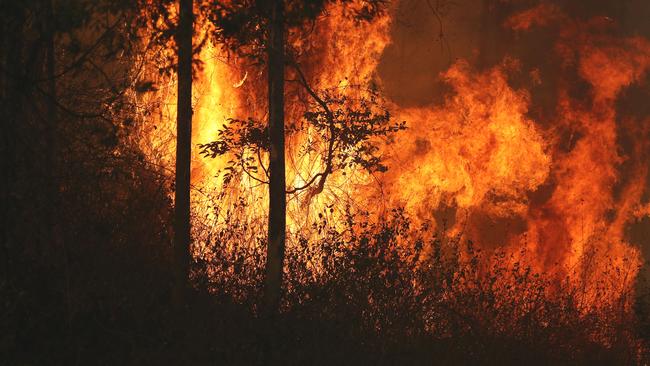 Police are now investigating whether the Busbys Flat fire was deliberately lit. Picture: AAP Image/Jason O'Brien