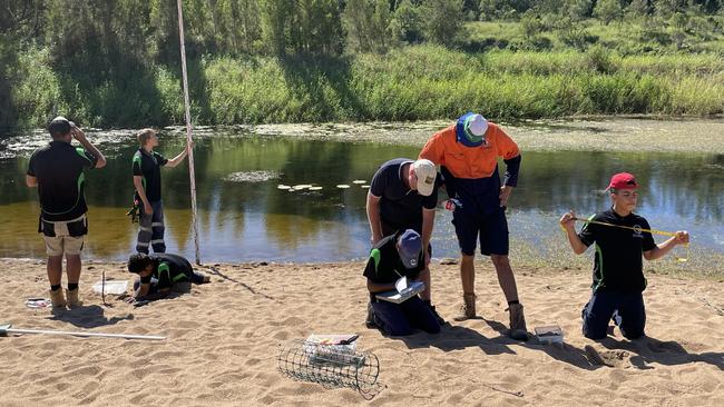 Nesting for the endangered White-throated snapping turtles has begun for 2021. One of the females hasn't been seen for 14 years. Photo: Brad Crosbie