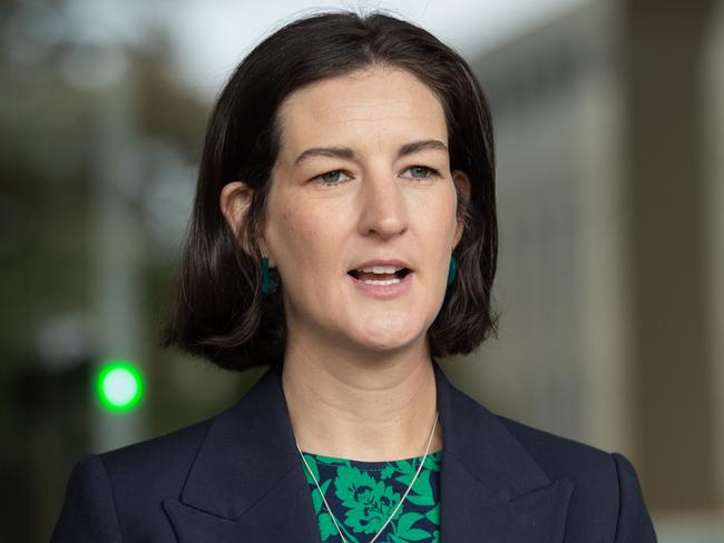 Greens Leader Ellen Sandell. Picture: Nicki Connolly