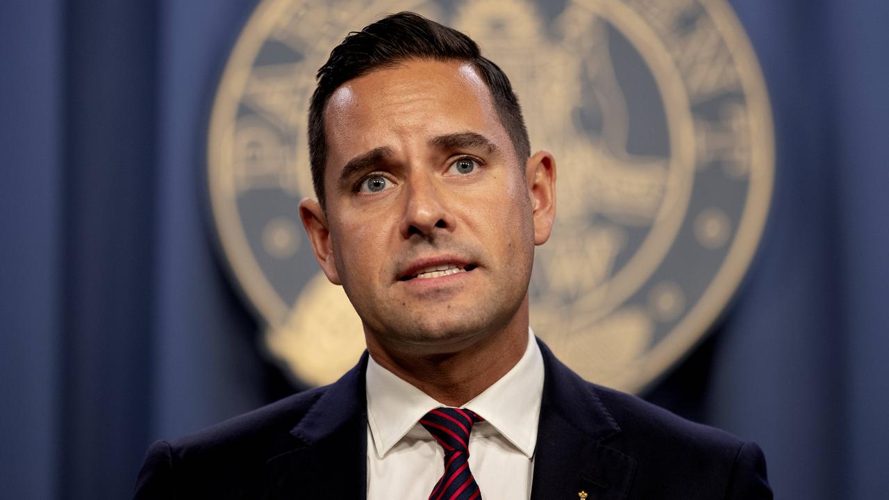 Alex Greenwich says he has been inundated with online attacks since Mark Latham directed a homophobic tweet at him on Twitter. Picture: NCA NewsWire/ Nikki Short