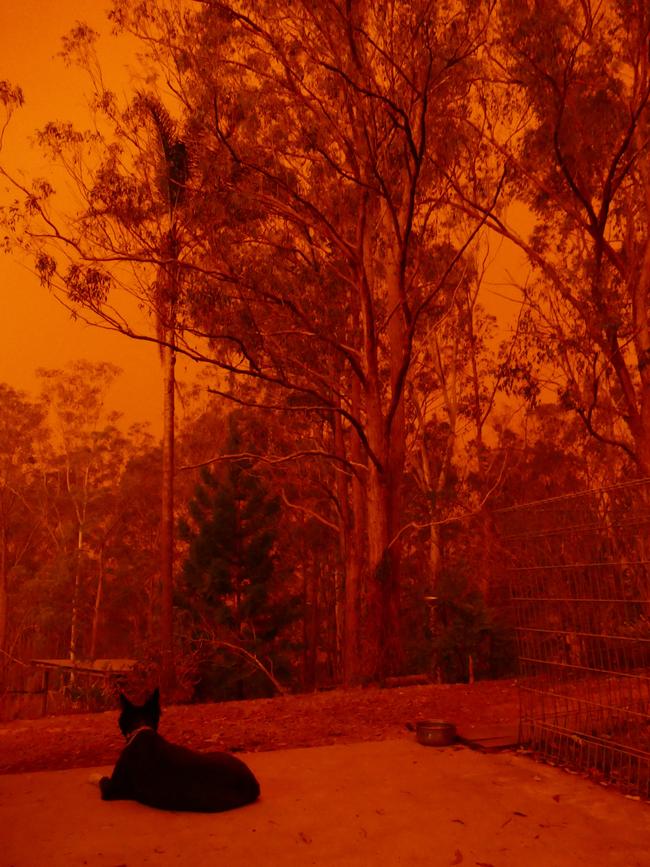 Blood red skies over Nymboida.