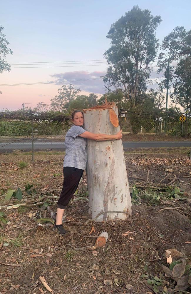 Queensland Koala Society founder Angela Christodoulou on land cleared adjacent to her rescue centre at 1686 Old Cleveland Rd, Chandler. Picture: Supplied