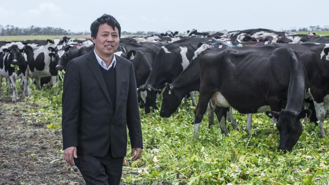 Xianfeng Lu, of Moon Lake Investments, at the Van Dairy property at Woolnorth. Picture: Chris Crerar