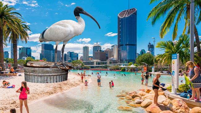 The nationwide competition saw a big ibis suggested for Brisbane.