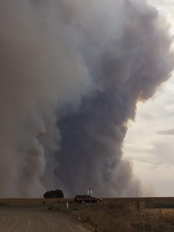 A huge column of smoke from the Pinery fire brings darkness to Freeling. Picture: David Evans