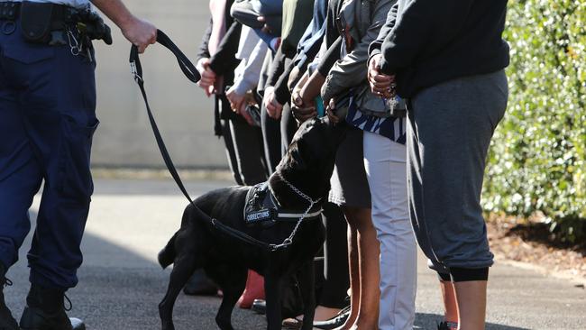 Corrective Service Officers conduct drug searches with sniffer dogs at Silverwater Correction Centre yesterday. Picture: Tim Hunter.