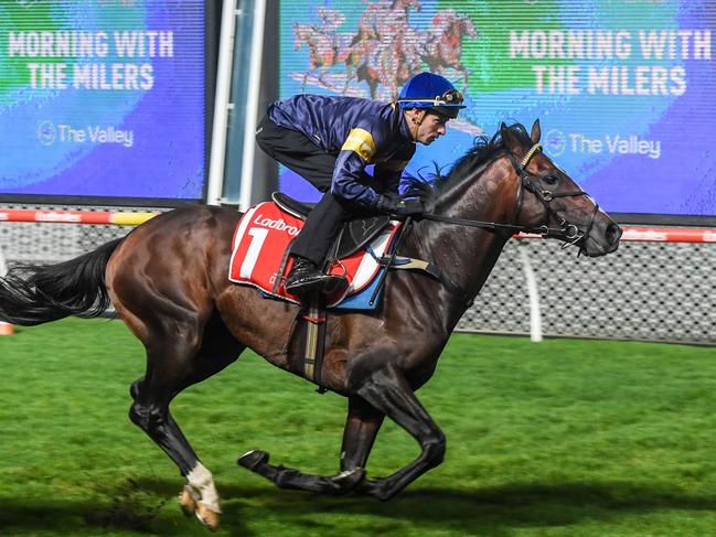 Alenquer ridden by Jordan Childs with Toronto Terrier ridden by Blake Shine at All Star Mile track gallops at Moonee Valley Racecourse on March 14, 2023 in Moonee Ponds, Australia. (Photo by Brett Holburt/Racing Photos via Getty Images)