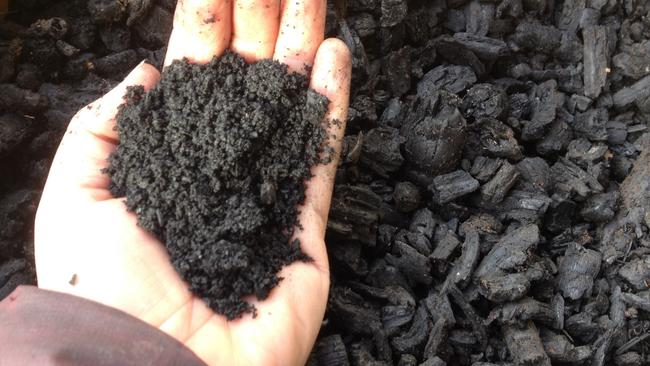 Crushed Biochar for Christina Giudici's Tas Home col.