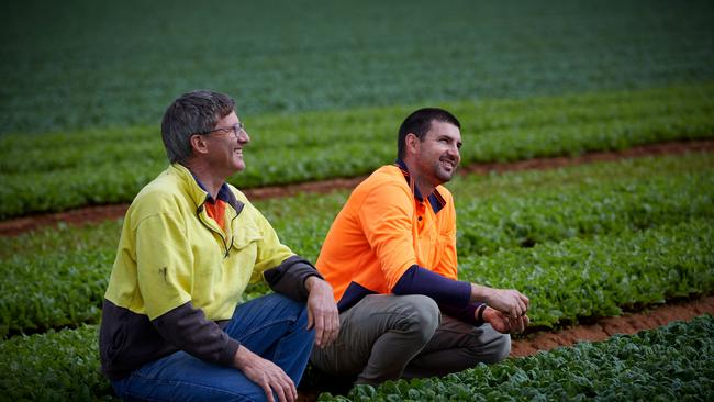 Andrew and Carl Young. Picture: Excitations/AusVeg