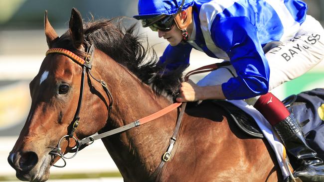 Libertini won five races for Harvey and Singleton. Picture: Getty Images