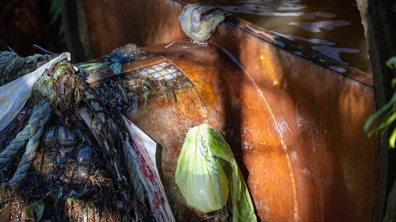 Rubbish has been dumped in the Hobart Rivulet where multiple platypuses have died because of litter. Photo: Hobart Rivulet Platypus/Pete Walsh