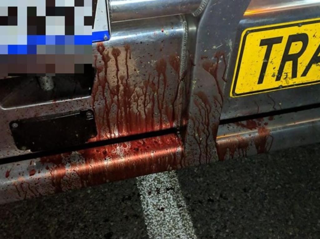 Truck driver Paul McGinley posted to Facebook to warn people about using fireworks after his truck collided with a horse along the Peak Downs Highway about 9.40pm on December 14, 2021. Picture: Contributed