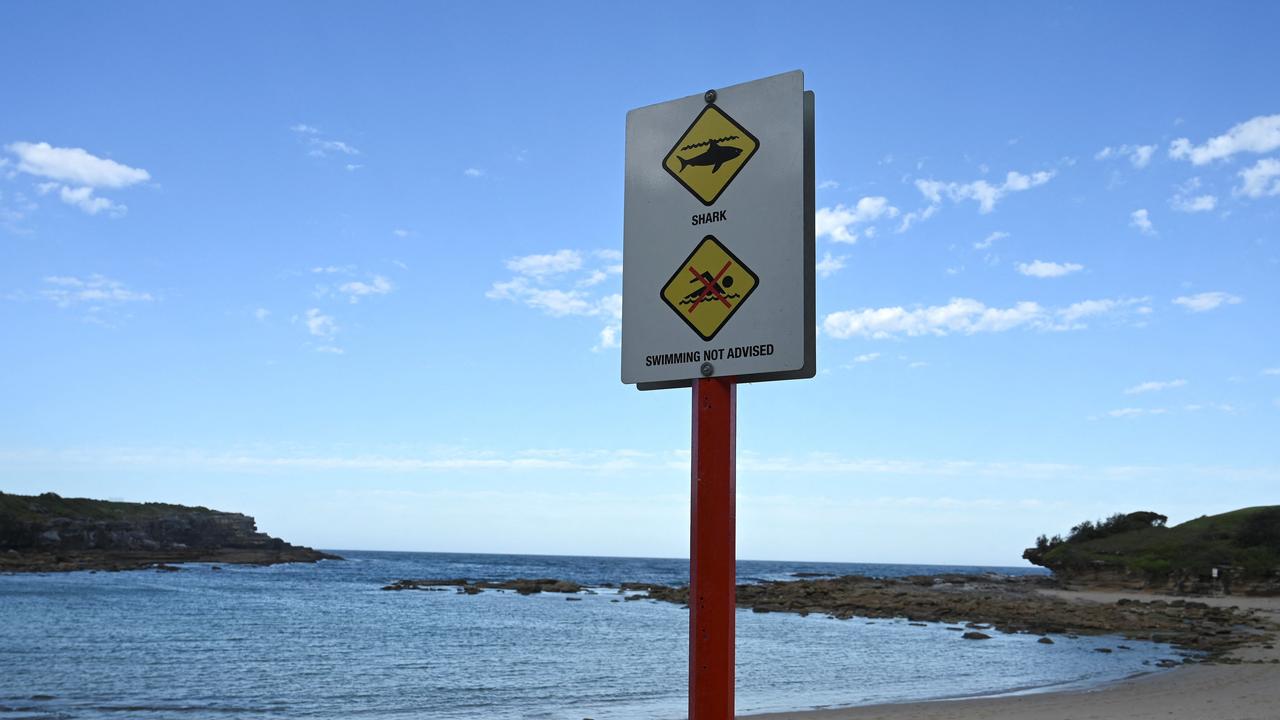 A public order notice is seen near the site of a fatal shark attack off Little Bay Beach in Sydney. Picture: Muhammad Farooq/AFP